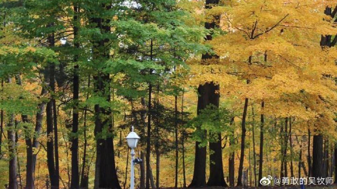 本月私域推广精细化搭建您的网络平台:企业营销推广的高效账号解决方案,1元1000赞全网最低价：高效推广服务助您流量激增